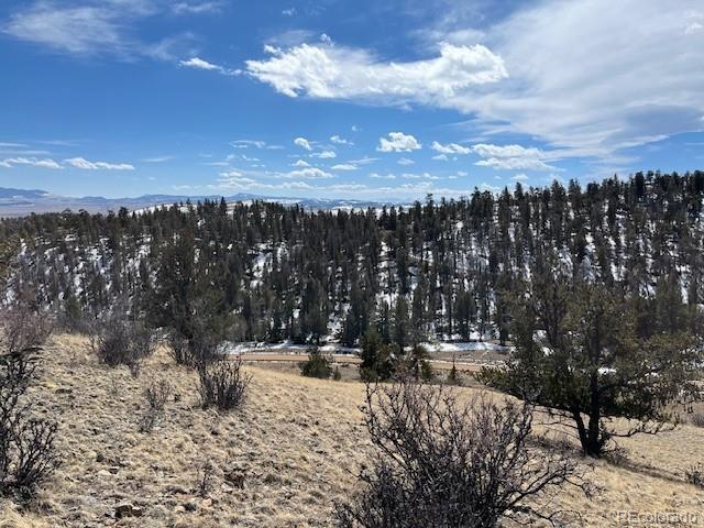 697 Summit Road Hartsel, CO 80449 - Photo 2 of 15