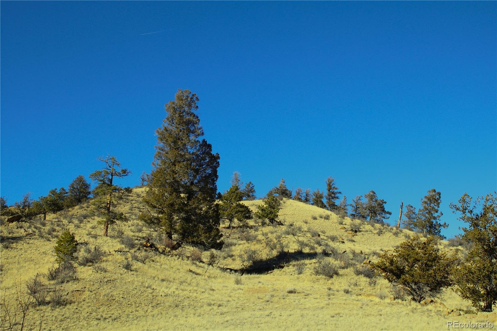 697 Summit Road Hartsel, CO 80449 - Photo 6 of 15