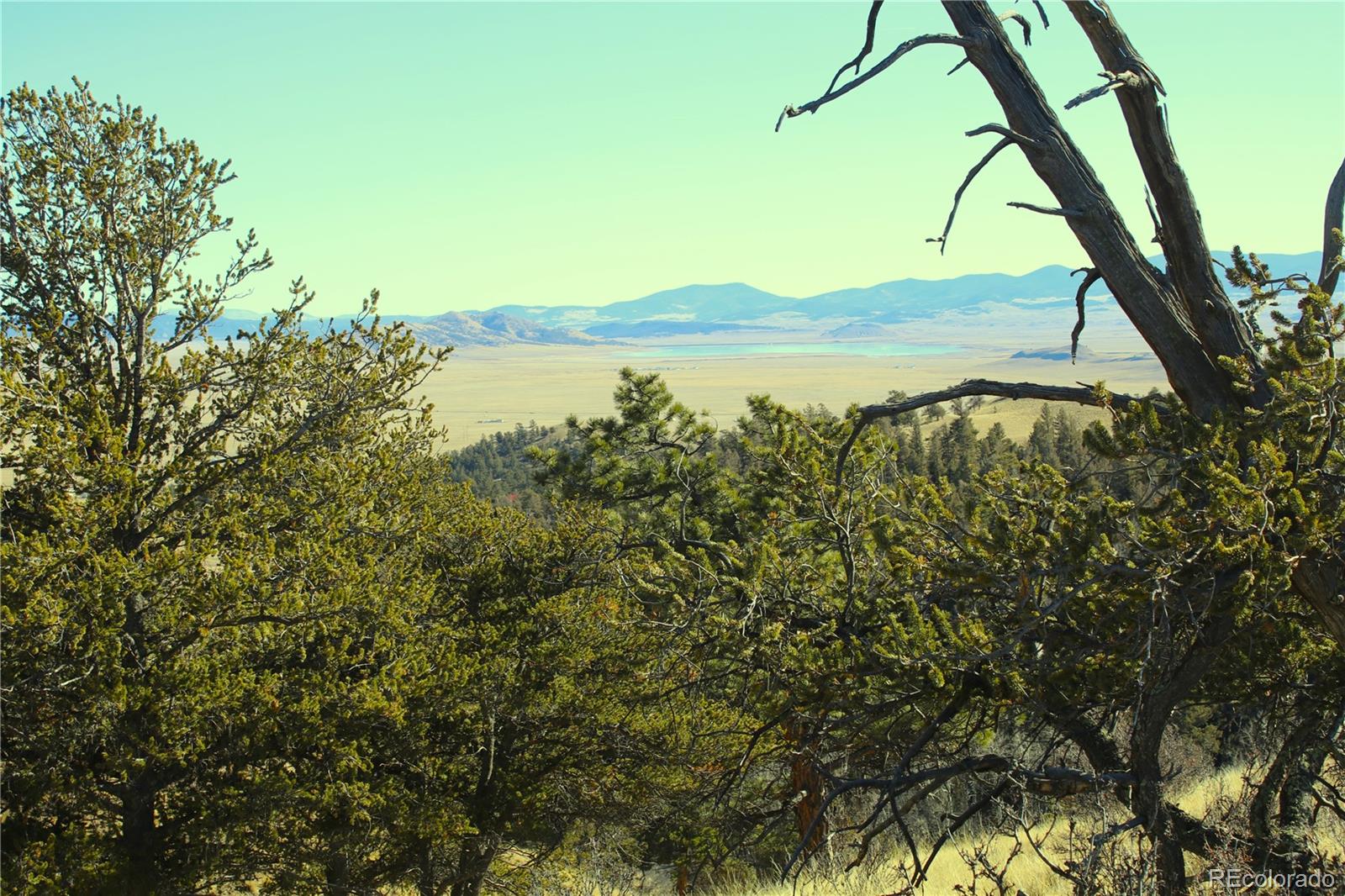 697 Summit Road Hartsel, CO 80449 - Photo 7 of 15