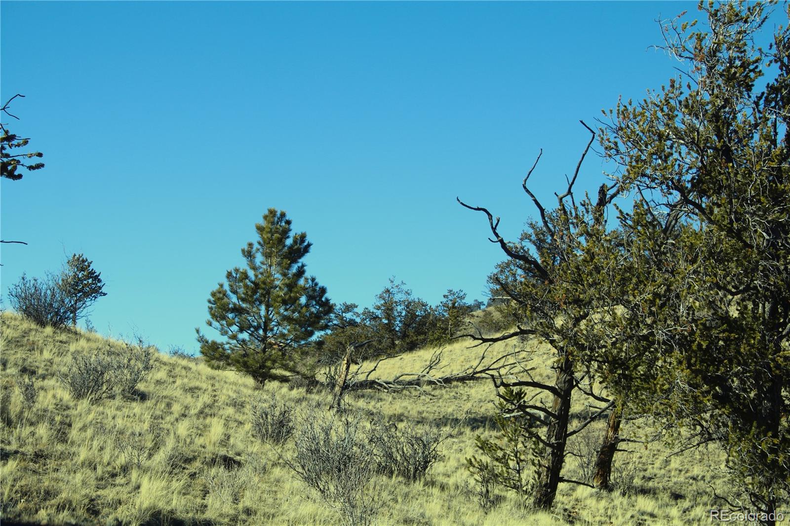 697 Summit Road Hartsel, CO 80449 - Photo 9 of 15