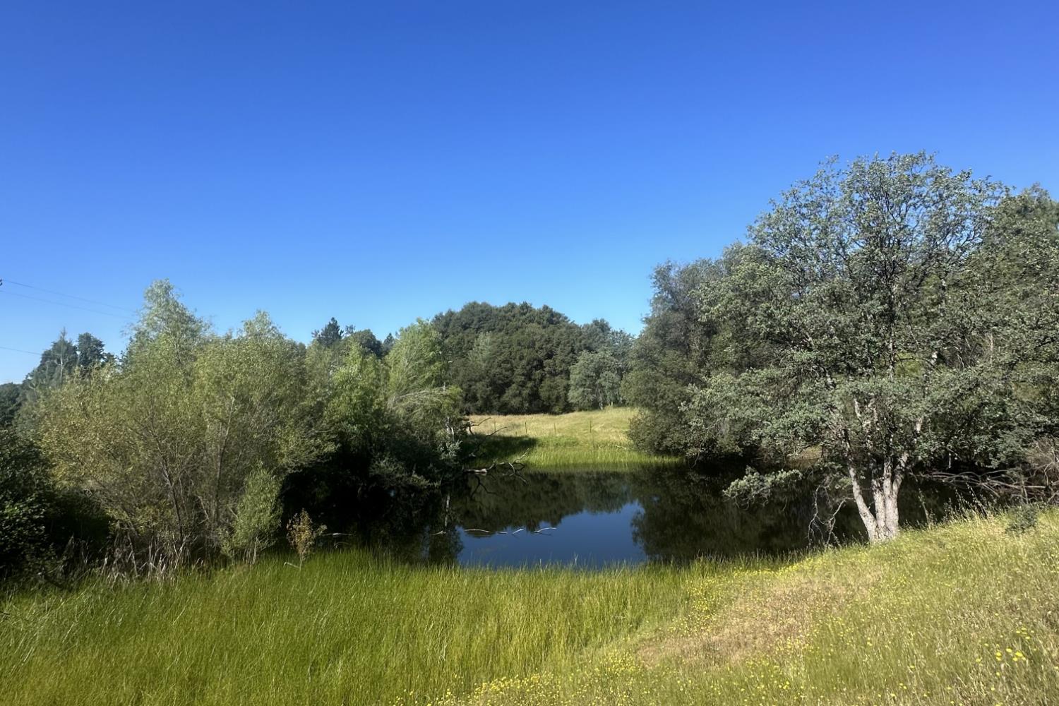 7436 Eagle View Drive Mountain Ranch, CA 95246 - Photo 41 of 51