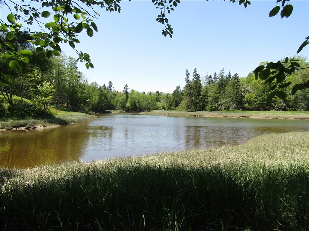 Lot 2-5 Cain's Cove Road Milbridge, ME 04658 - Photo 9 of 11 Photo