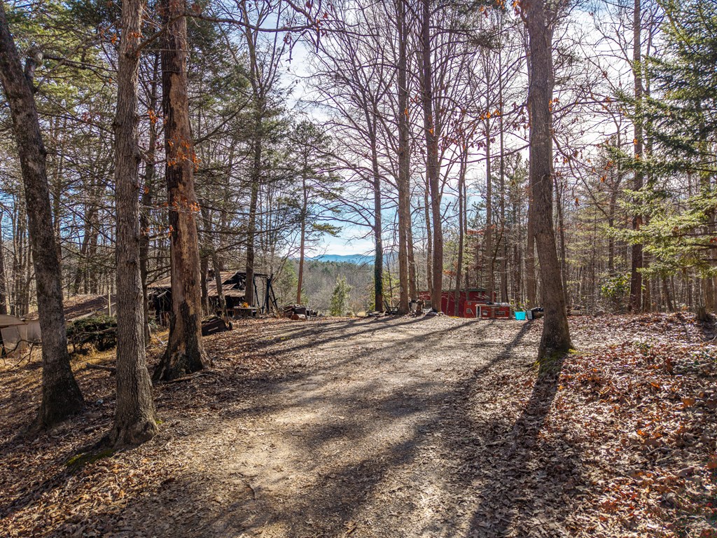 155 Becky Road Blairsville, GA 30512 - Photo 10 of 26 Gallery Image 10