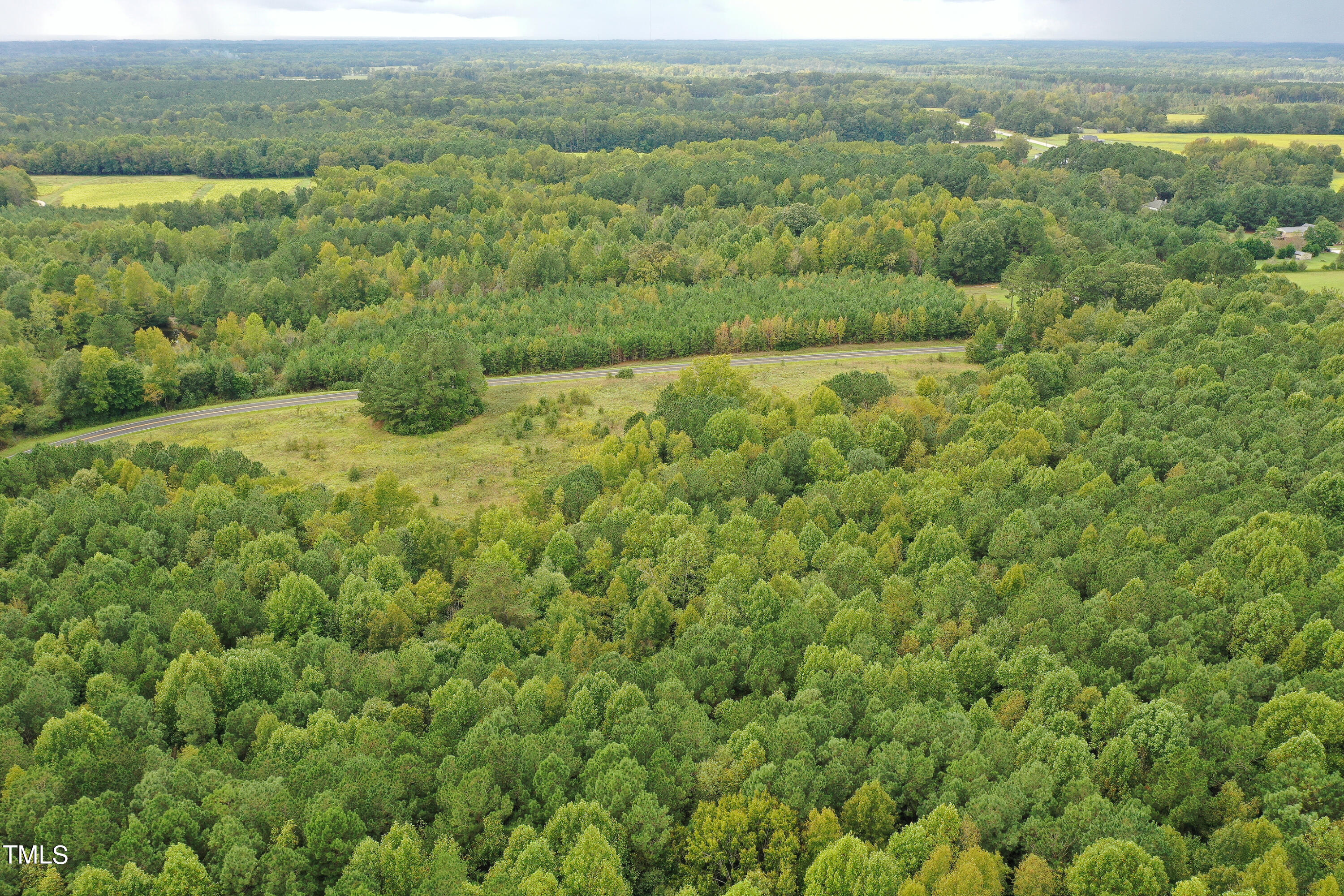 39.8-acres Rick Boone Road Castalia, NC 27816 - Photo 8 of 35 8