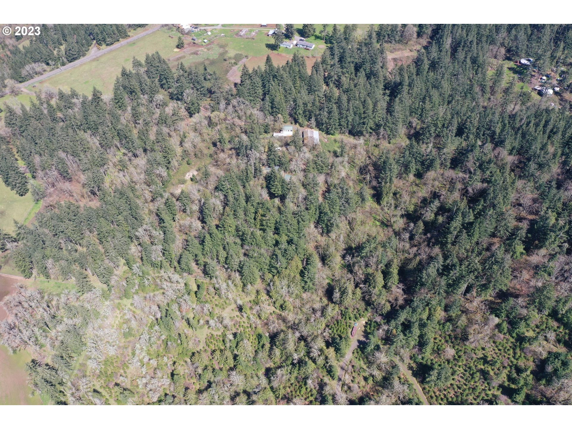 35451 South Sawtell Road Molalla, OR 97038 - Photo 21 of 35 Gallery Image 21