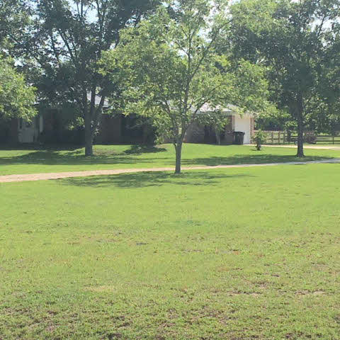 22681 River Road South Daphne, AL 36526 - Photo 2 of 45