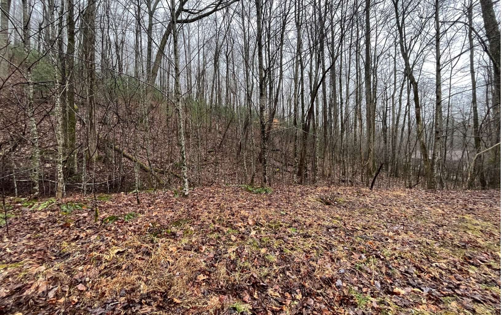 25 Goldmine Gap Road Ellijay, GA 30536 - Photo 1 of 19 Main View
