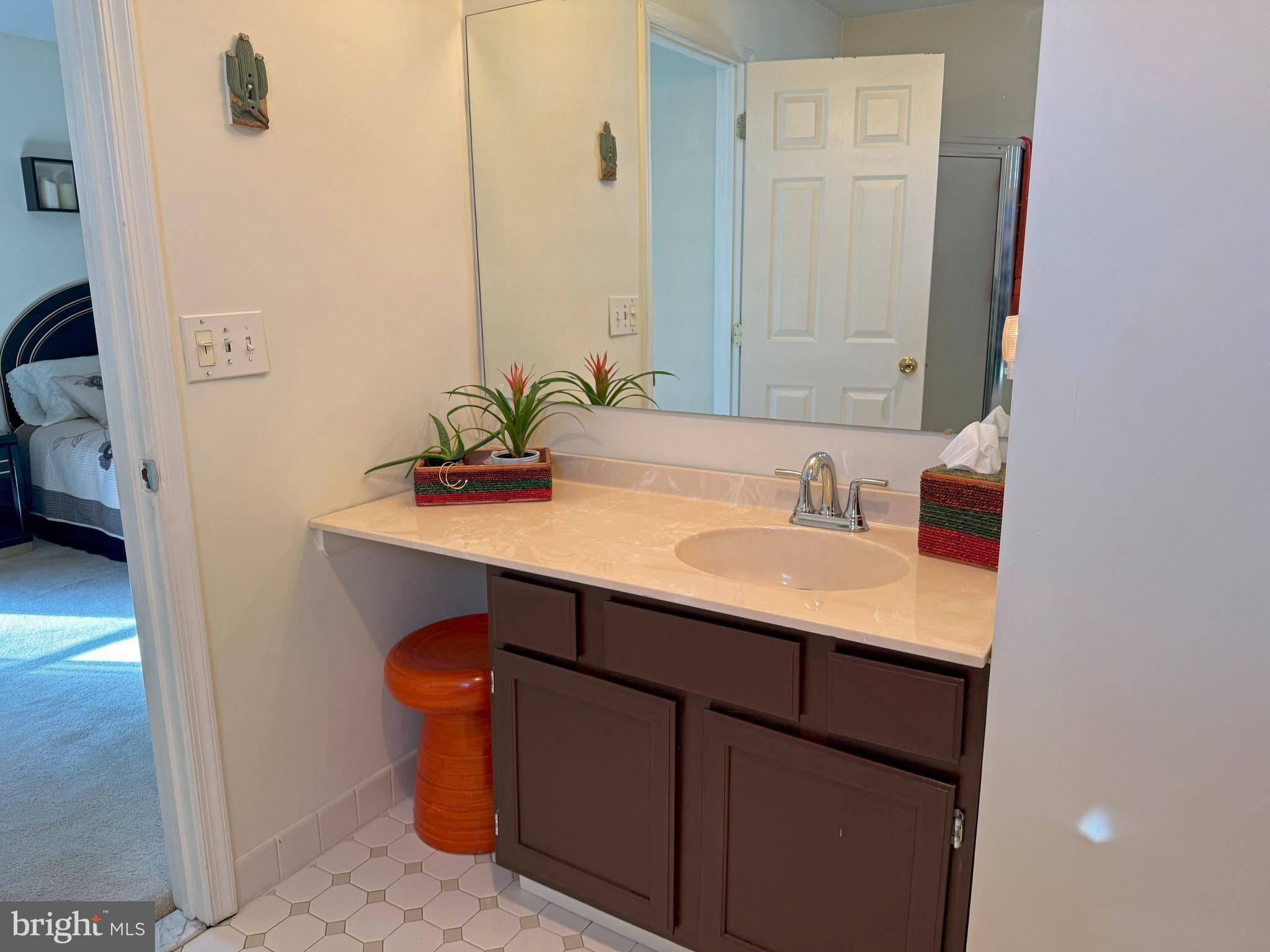 22 Chilmark Court Bear, DE 19701 - Photo 13 of 29 a bathroom with a sink and a mirror
