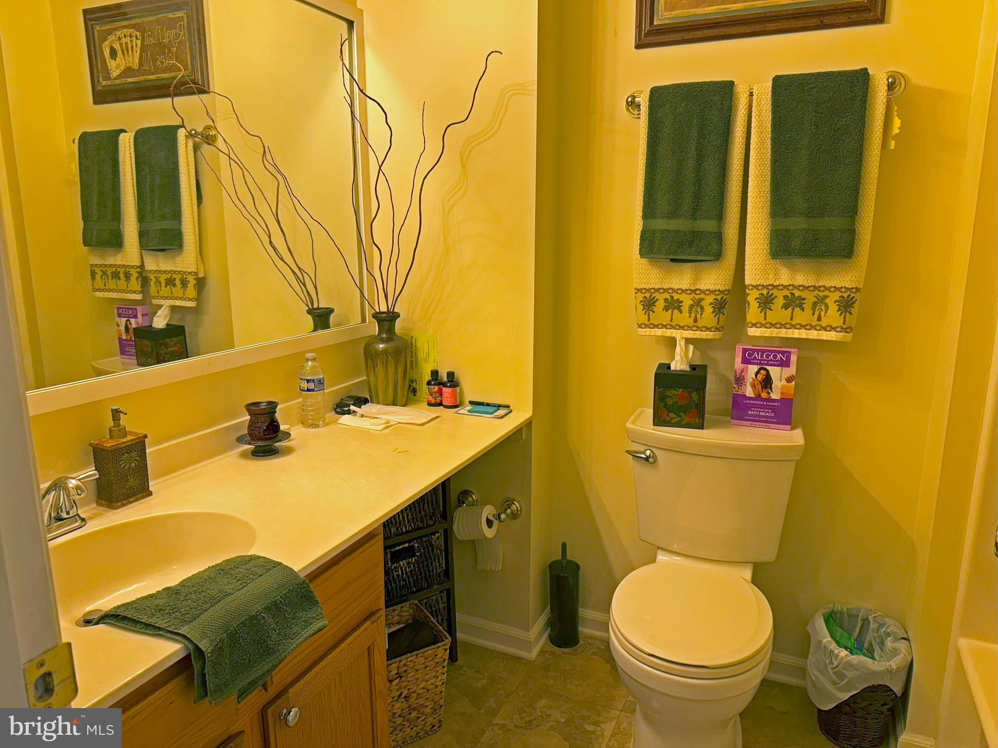 22 Chilmark Court Bear, DE 19701 - Photo 17 of 29 a bathroom with a sink and a toilet