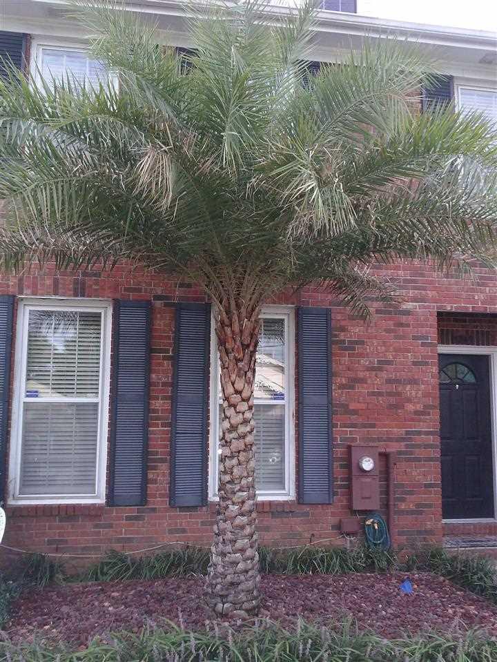 1413 Lemhurst Road Pensacola, FL 32507 - Photo 39 of 41