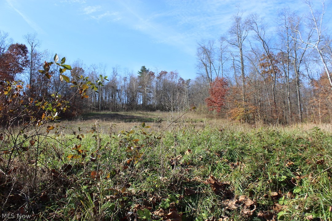 Ford Rd Mount Mount Perry, OH 43760 - Photo 8 of 35