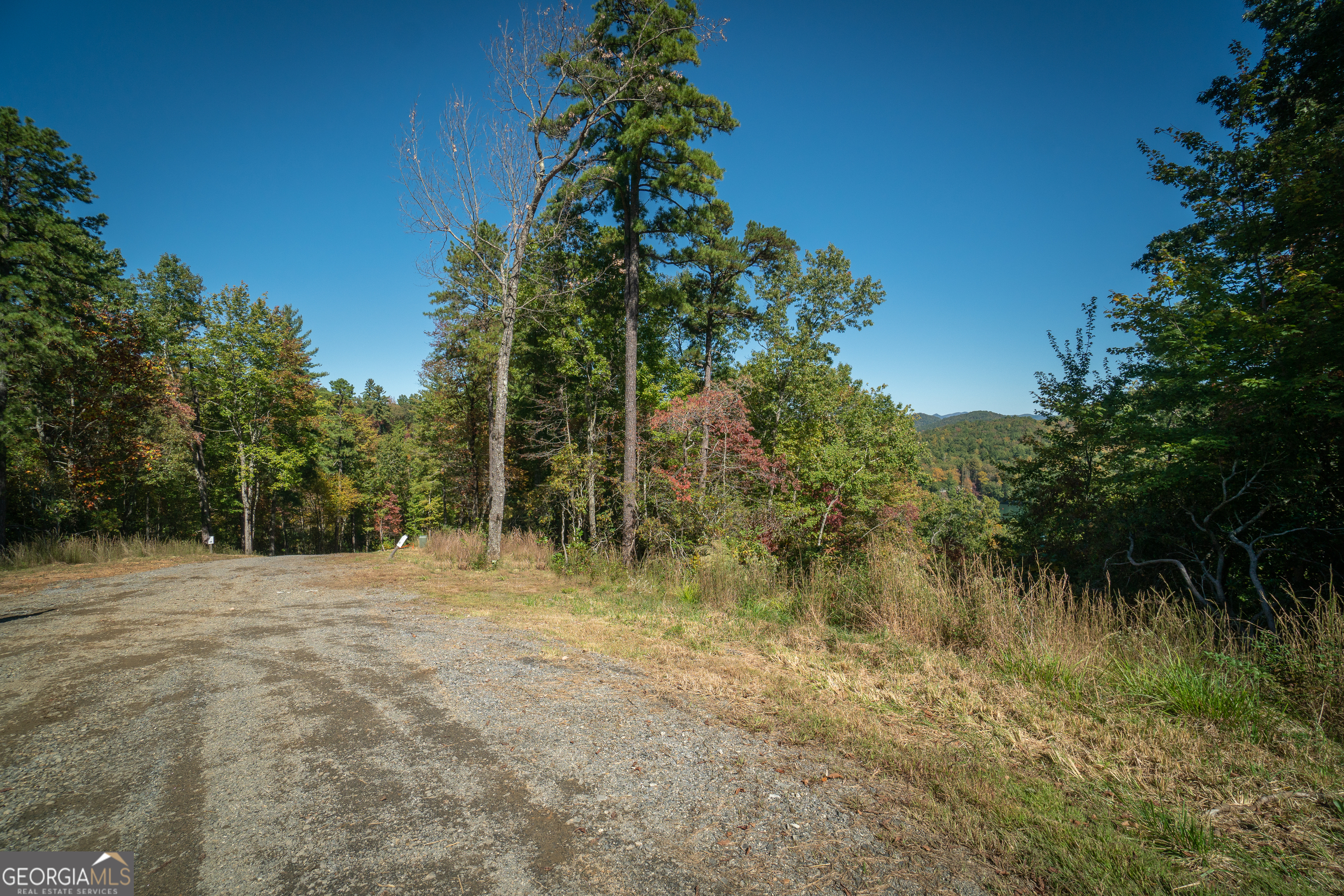 0 Ivy Rdg Way Clarkesville, GA 30523 - Photo 15 of 23