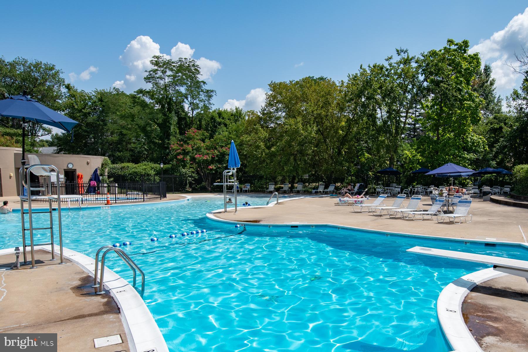 6612 10th Street, Unit A2 Alexandria, VA 22307 - Photo 25 of 41 Belle View swimming pool