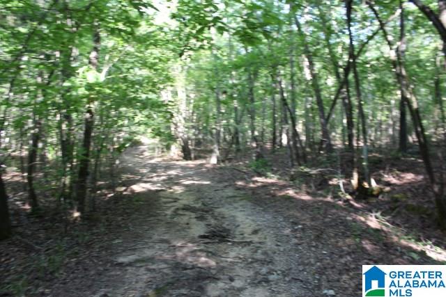 1 Benefield Gap Road Attalla, AL 35954 - Photo 18 of 50