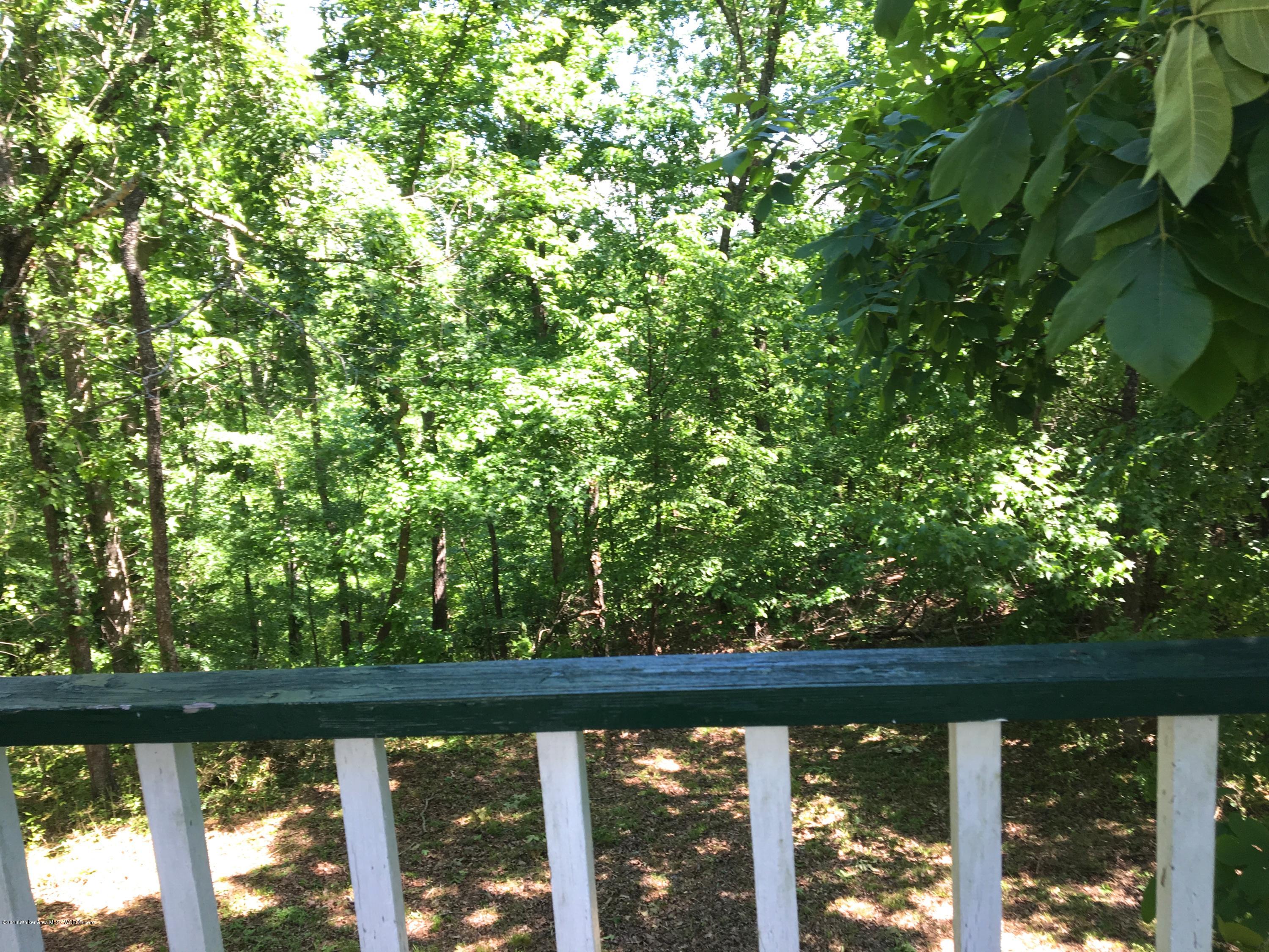 4545 Holly Grove Road Jasper, AL 35501 - Photo 22 of 34 Gallery Image 22