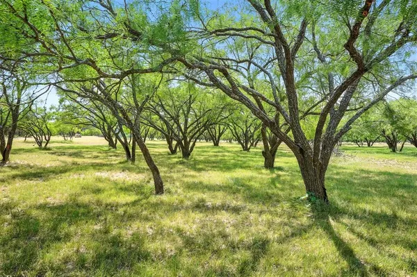 $7,995,000 | 635 Cr 184 Lawn Tx 79530, Winters, TX 79567