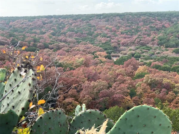 $7,995,000 | 635 Cr 184 Lawn Tx 79530, Winters, TX 79567