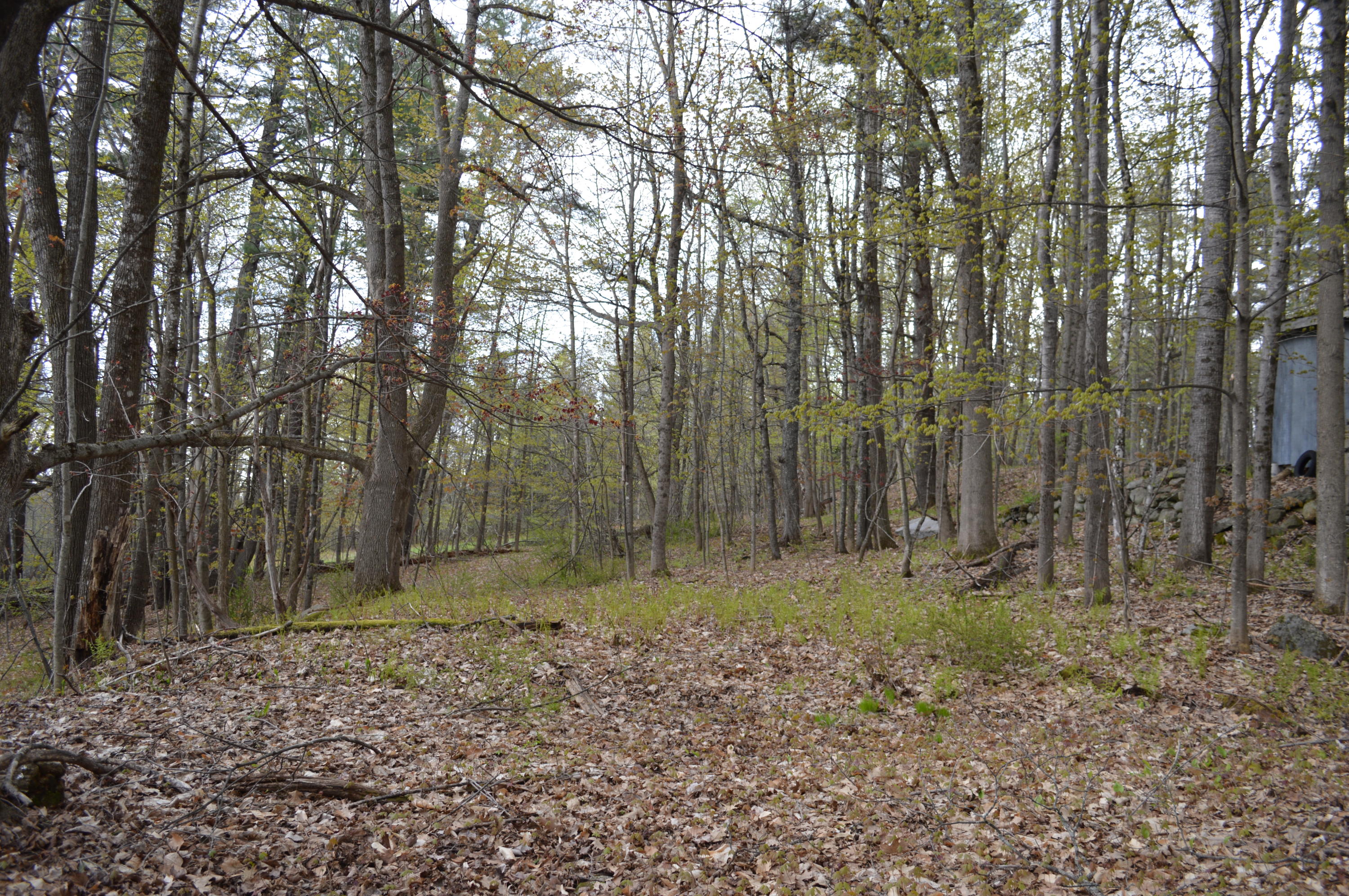 777 Sturtevant Hill Road Winthrop, ME 04364 - Photo 22 of 36 DSC_0009