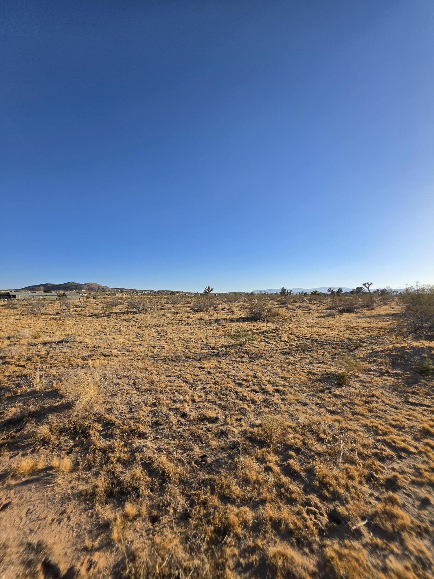 59871 Reche Road Landers, CA 92285 - Photo 5 of 6 20260617_185009