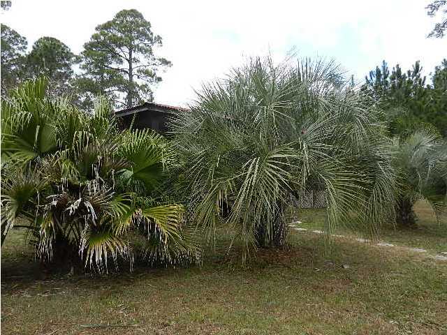 34 Long Leaf Circle Santa Rosa Beach, FL 32459 - Photo 18 of 18 Additional Photo