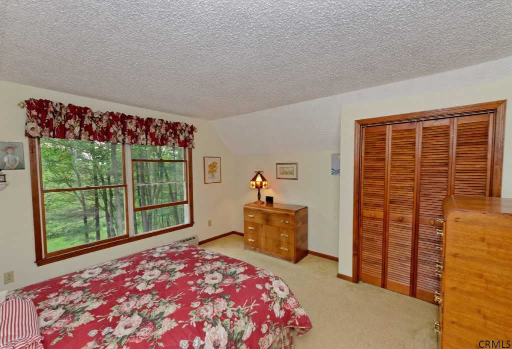 283 Lape Road Schodack, NY 12123 - Photo 17 of 25 Photo 17