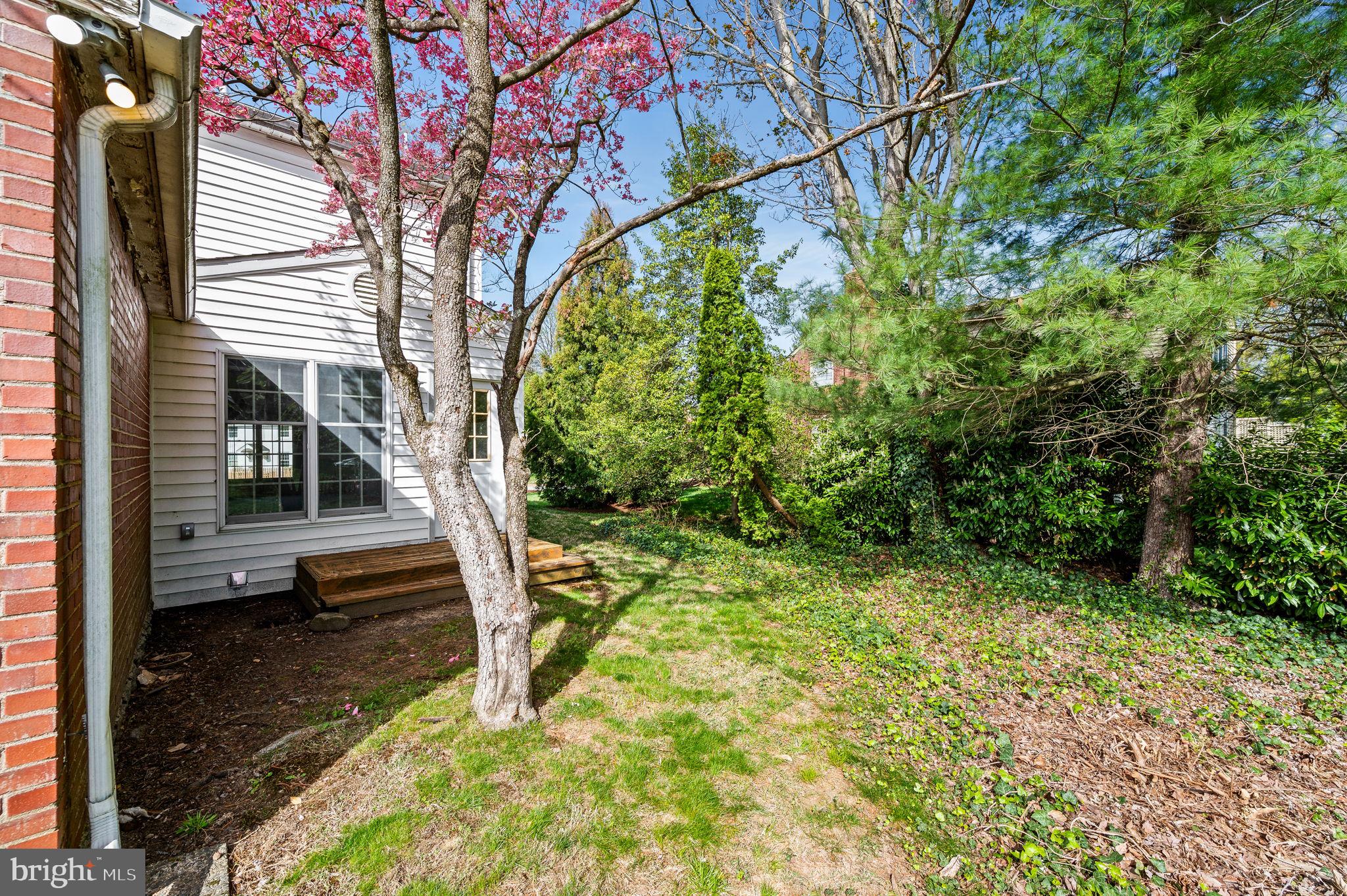101 East Rose Valley Road Wallingford, PA 19086 - Photo 28 of 38 a view of a porch with a tree