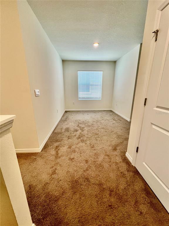 32557 Turtle Grace Loop Wesley Chapel, FL 33545 - Photo 10 of 35