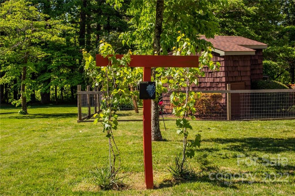 171 Orchard Road Statesville, NC 28677 - Photo 7 of 46 a garden view