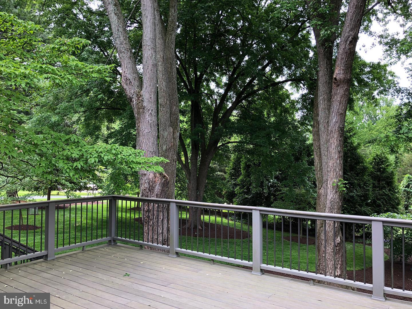 14400 Sandy Ridge Road Silver Spring, MD 20904 - Photo 51 of 62 Deck in Summer Overlooking Yard
