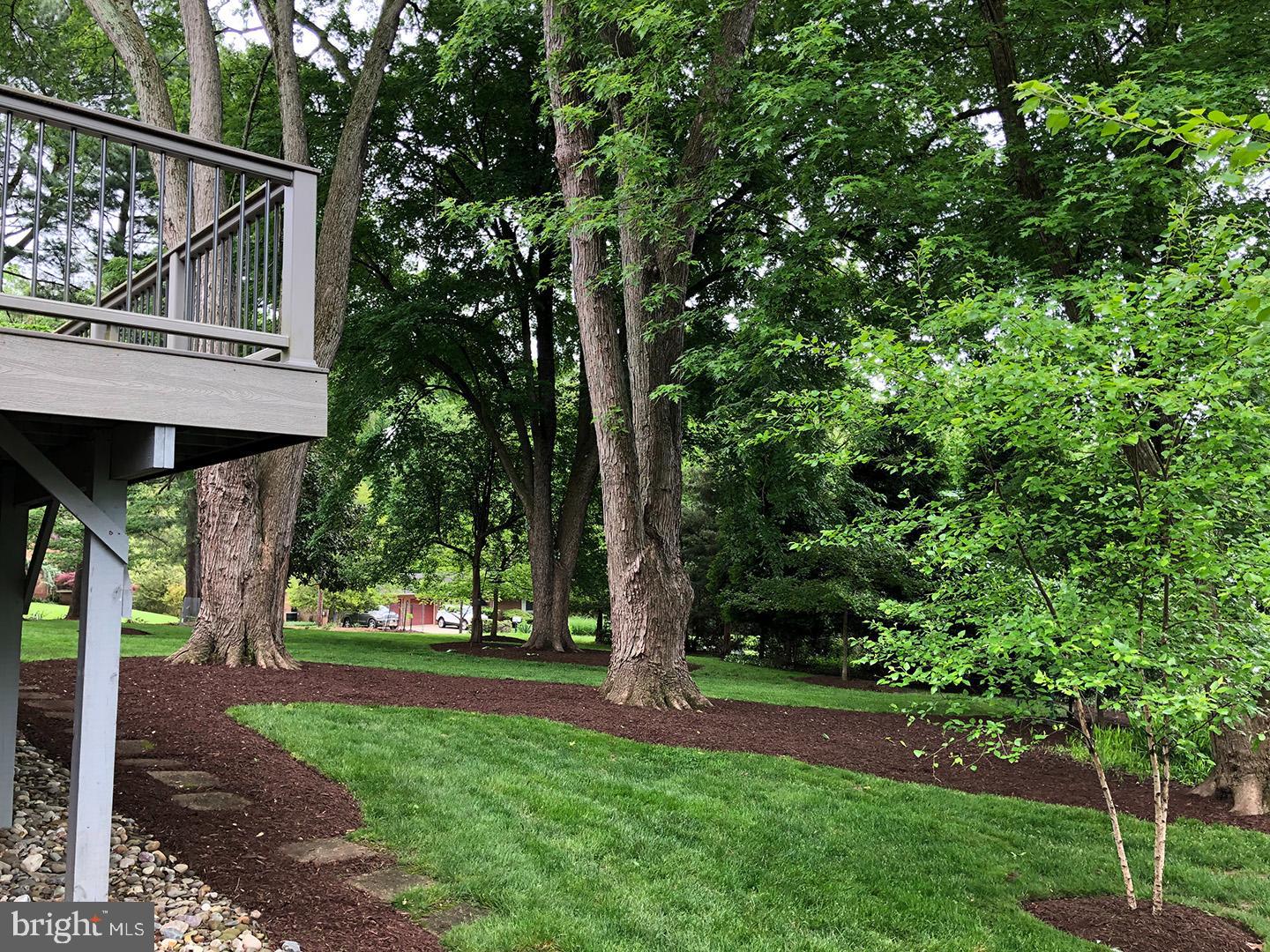 14400 Sandy Ridge Road Silver Spring, MD 20904 - Photo 52 of 62 Rear Yard
