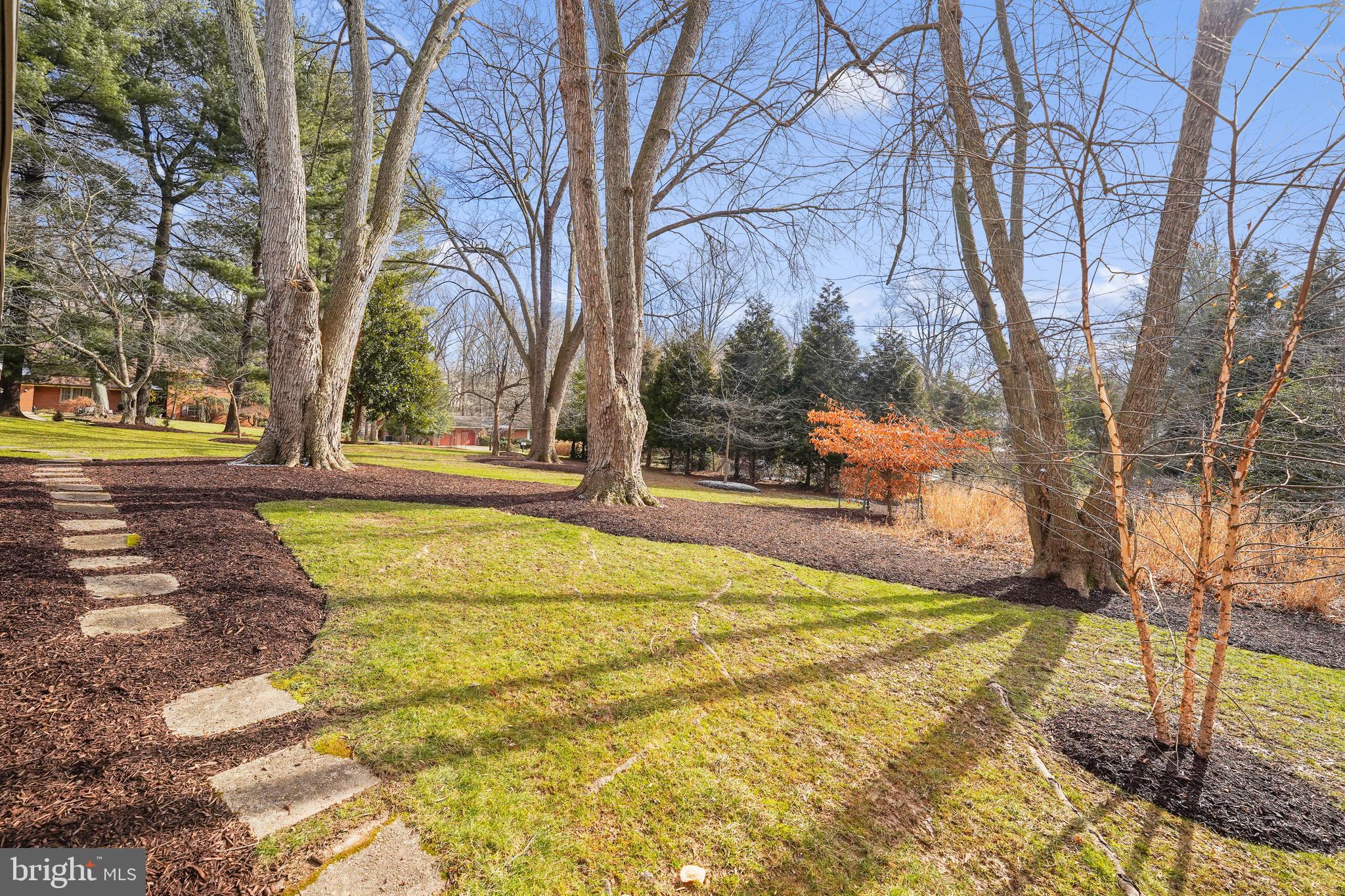 14400 Sandy Ridge Road Silver Spring, MD 20904 - Photo 54 of 62 Rear Yard