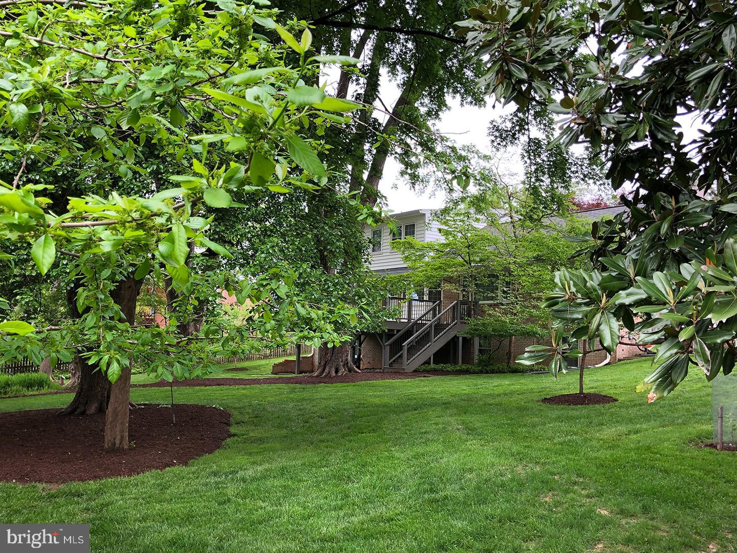 14400 Sandy Ridge Road Silver Spring, MD 20904 - Photo 55 of 62 Rear Yard