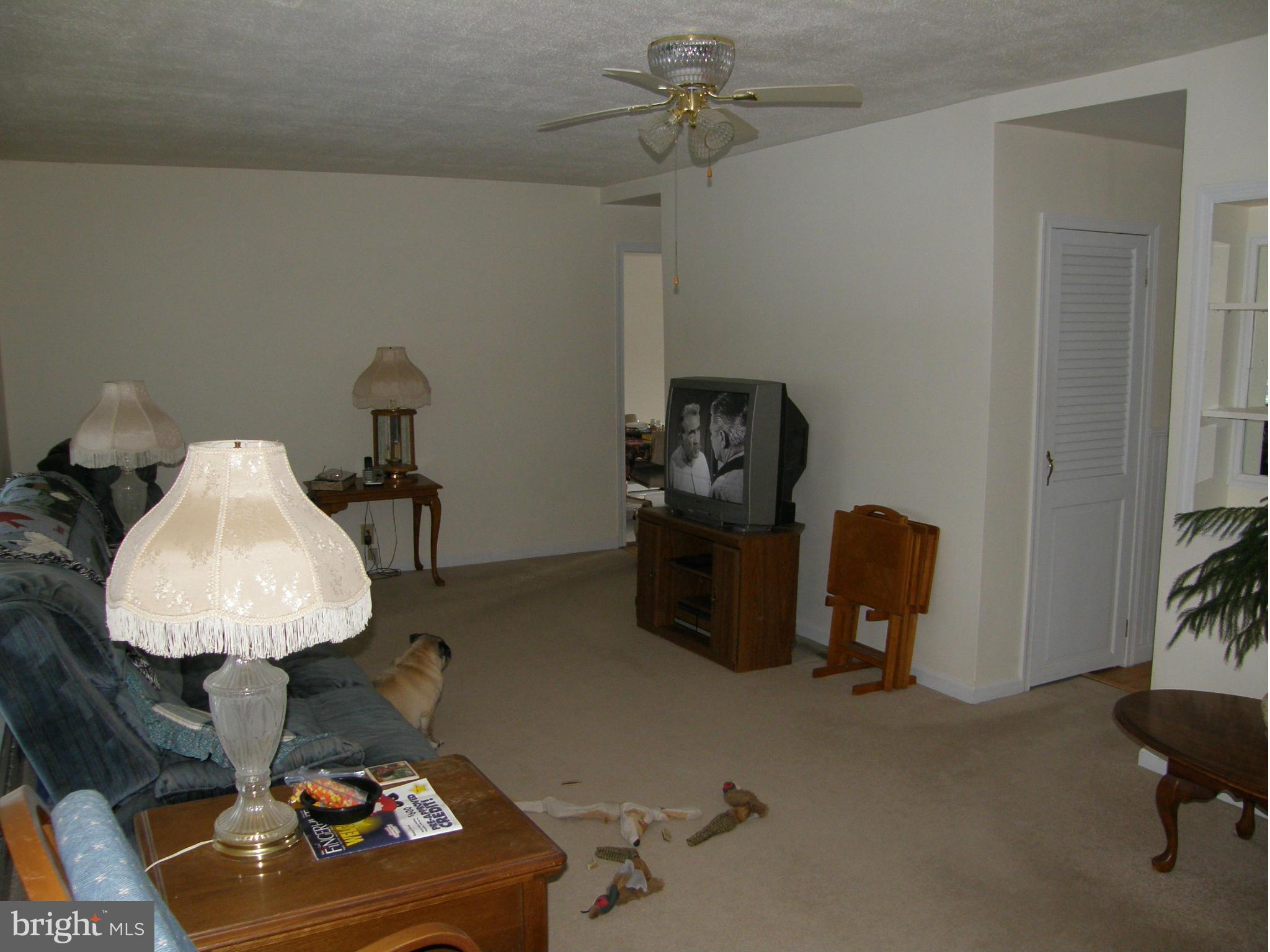 10793 Loop Road Fayetteville, PA 17222 - Photo 3 of 19 Living Room