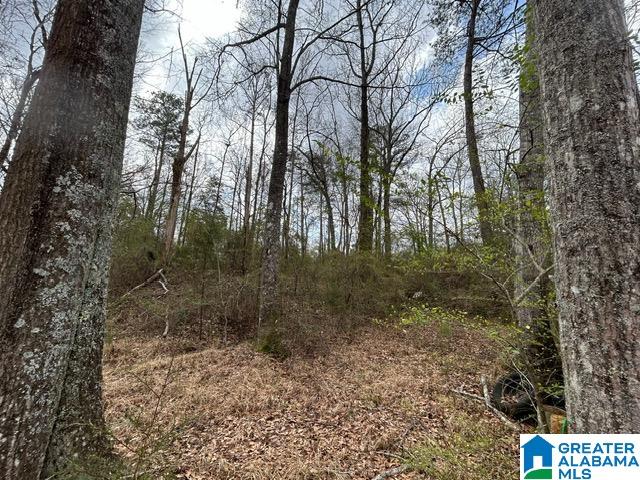66 Shady Lane, Unit 7678 Ohatchee, AL 36271 - Photo 2 of 12
