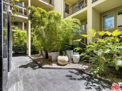 a view of a backyard with plants and potted plants