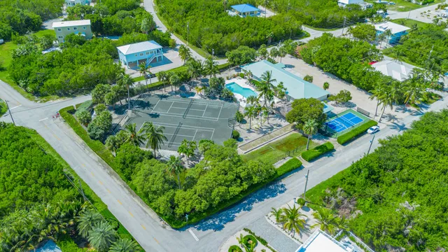 an aerial view of a house a garden and plants