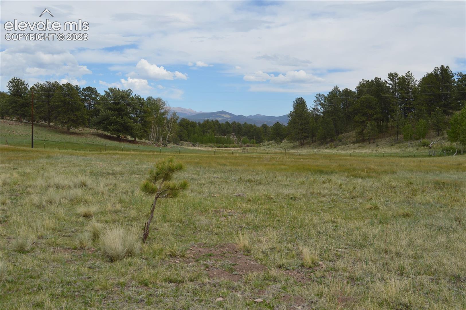 344 Valley Road Guffey, CO 80820 - Photo 9 of 15 Gallery Image 9