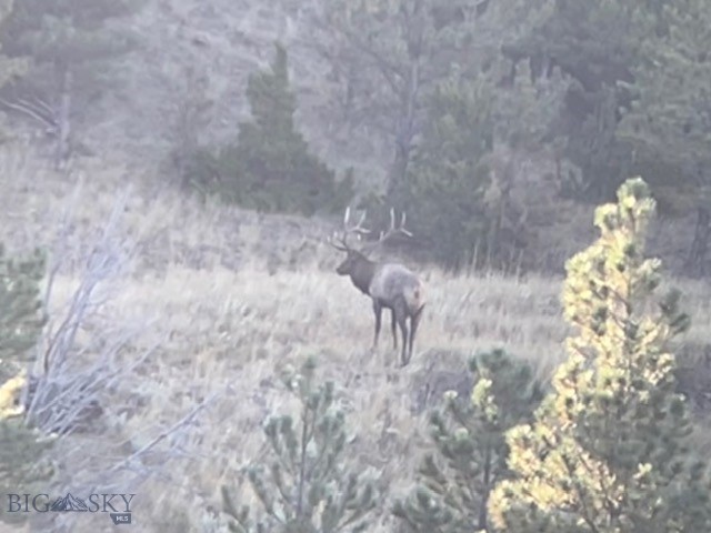 659 Deadmans Canyon Road Reed Point, MT 59069 - Photo 52 of 96 Gallery Image 52
