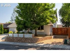 a view of yard with tree in front of it