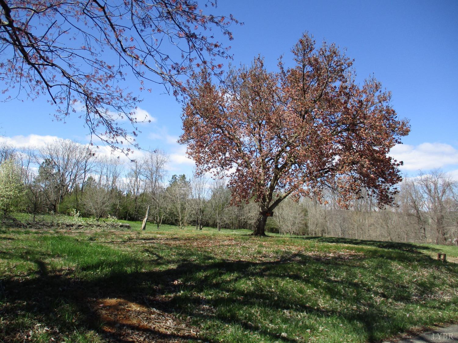 511 Riverview Drive Altavista, VA 24517 - Photo 1 of 3 a view of outdoor space with green field and trees all around