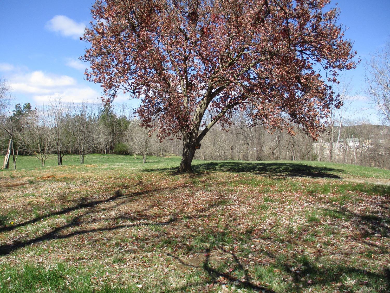 511 Riverview Drive Altavista, VA 24517 - Photo 2 of 3 a view of a field with large trees