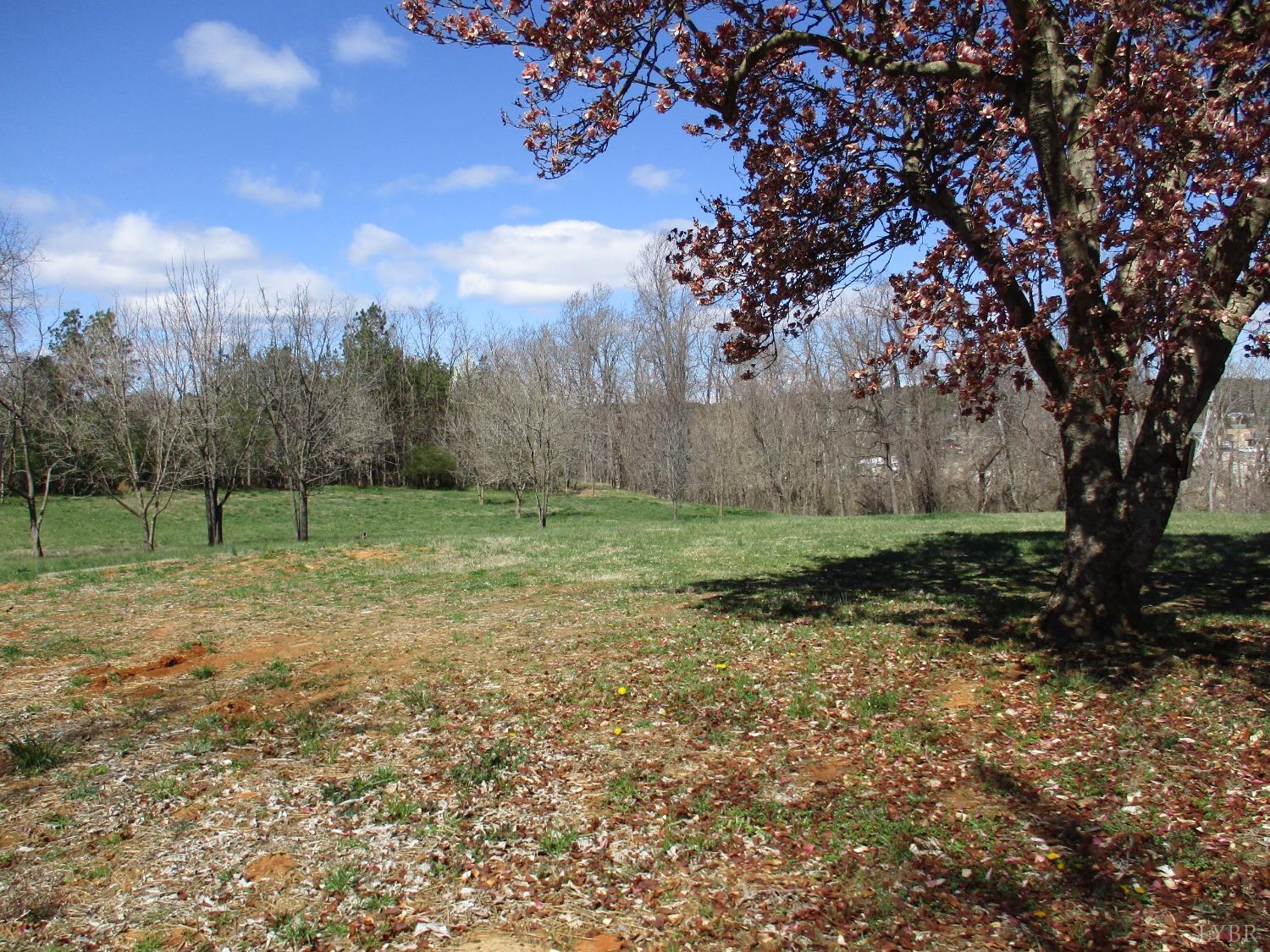 511 Riverview Drive Altavista, VA 24517 - Photo 3 of 3 a view of a yard with a tree