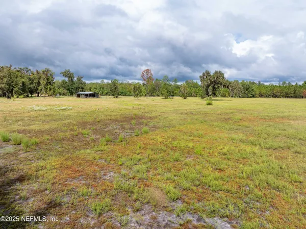 a view of field with trees