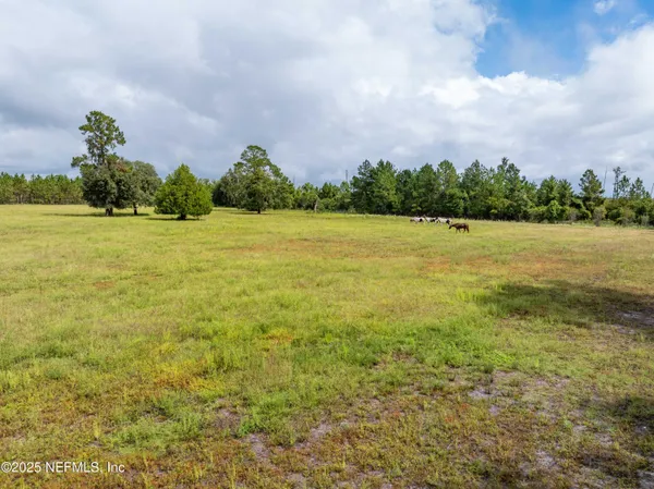 $492,500 | 17411 County Road 1471, Waldo, FL 32694