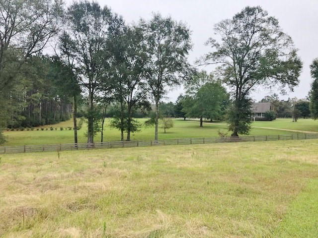 1191 Ted Thompson Road Summit, MS 39666 - Photo 3 of 35 Photo 3