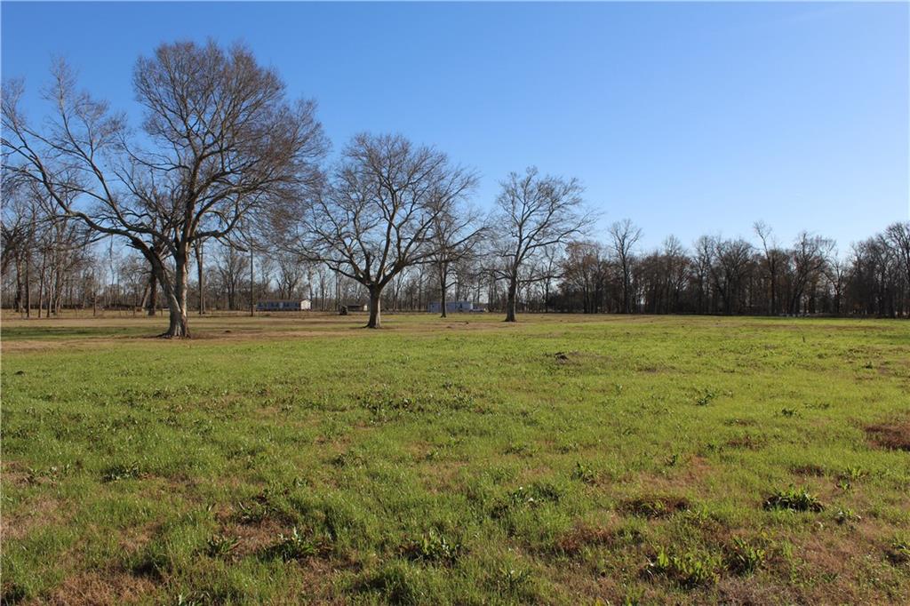 16 Mitchell Road Boyce, LA 71409 - Photo 8 of 20 Gallery Image 8