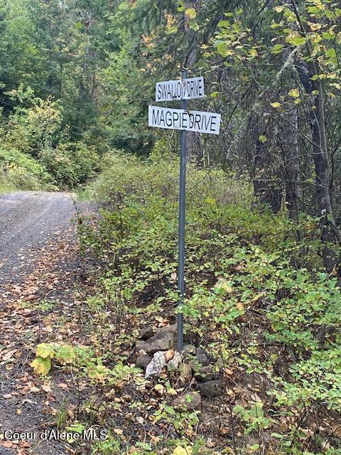 11 East 12 Rd Street St. Maries, ID 83861 - Photo 1 of 7 IMG_7526