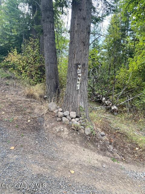 11 East 12 Rd Street St. Maries, ID 83861 - Photo 2 of 7 IMG_7525