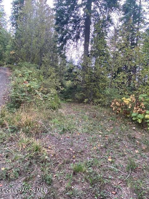 11 East 12 Rd Street St. Maries, ID 83861 - Photo 3 of 7 IMG_7527