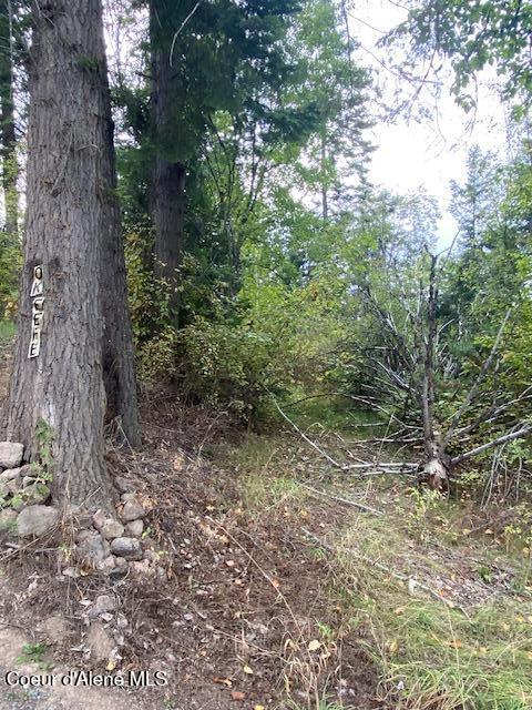 11 East 12 Rd Street St. Maries, ID 83861 - Photo 4 of 7 IMG_7529